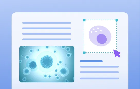 Abbildungsvorbereitung